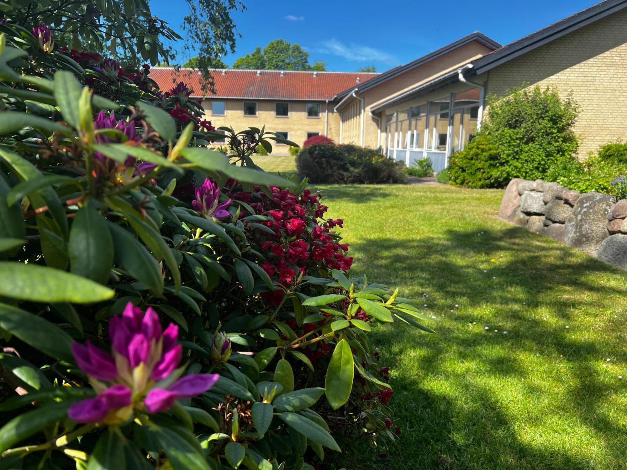 Emmaus Hostel Haslev Exterior photo