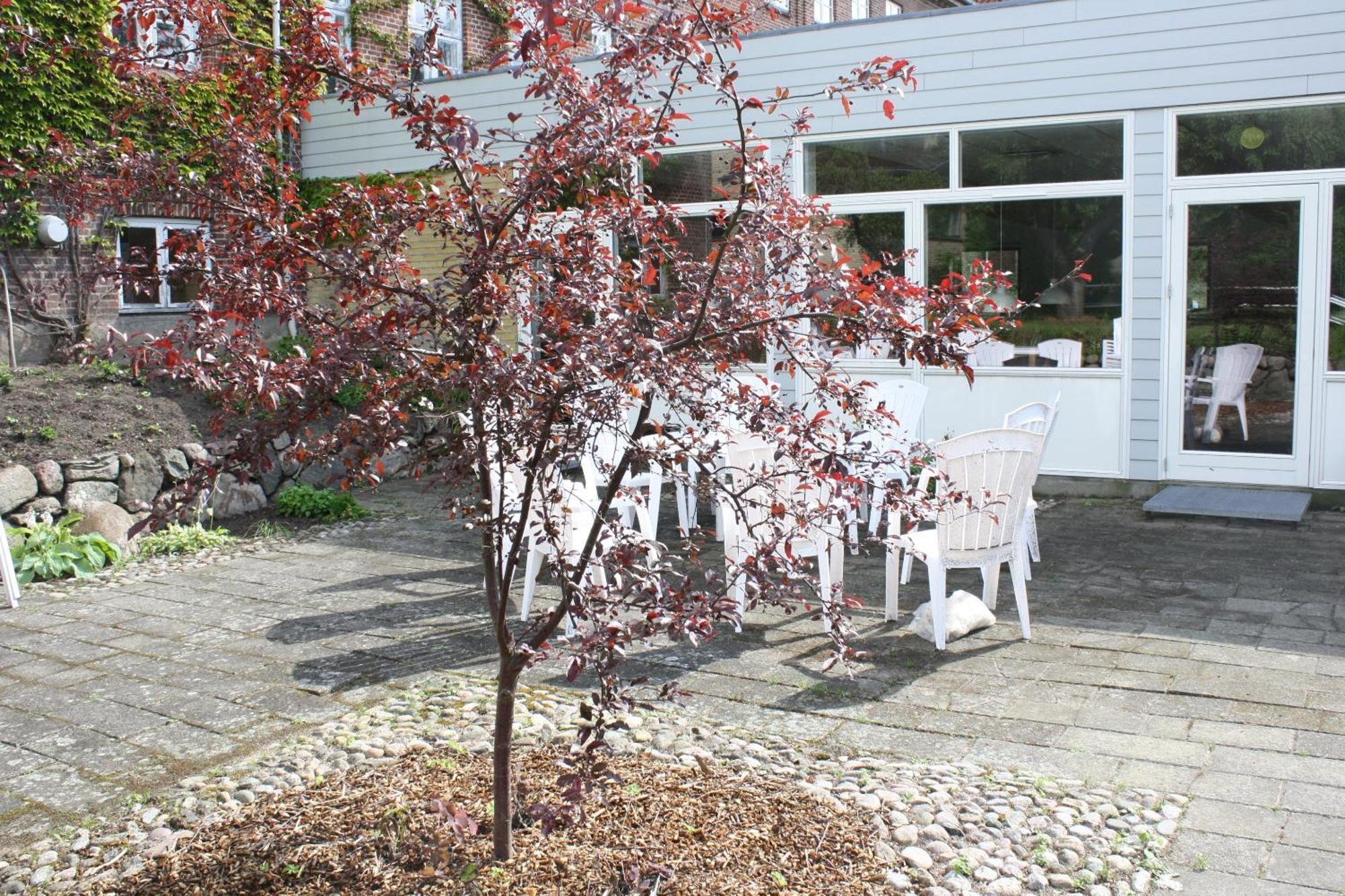 Emmaus Hostel Haslev Exterior photo